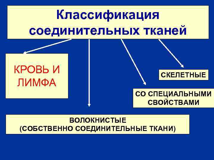 Классификация соединительных тканей КРОВЬ И ЛИМФА СКЕЛЕТНЫЕ СО СПЕЦИАЛЬНЫМИ СВОЙСТВАМИ ВОЛОКНИСТЫЕ (СОБСТВЕННО СОЕДИНИТЕЛЬНЫЕ ТКАНИ)