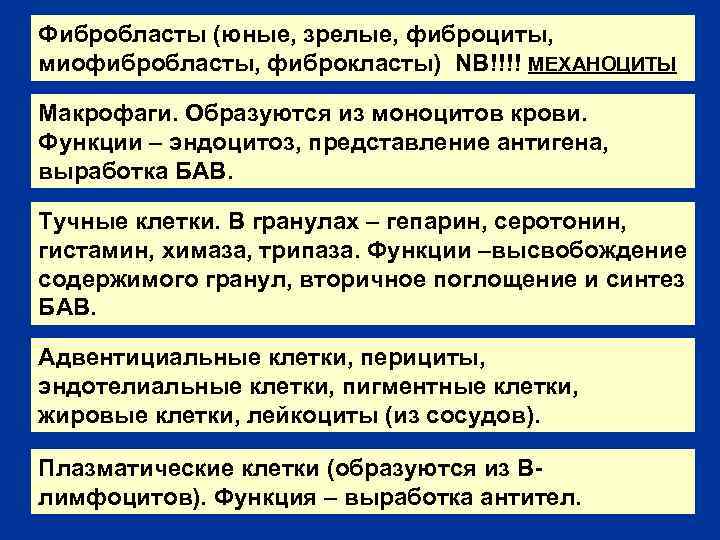 Фибробласты (юные, зрелые, фиброциты, миофибробласты, фиброкласты) NB!!!! МЕХАНОЦИТЫ Макрофаги. Образуются из моноцитов крови. Функции