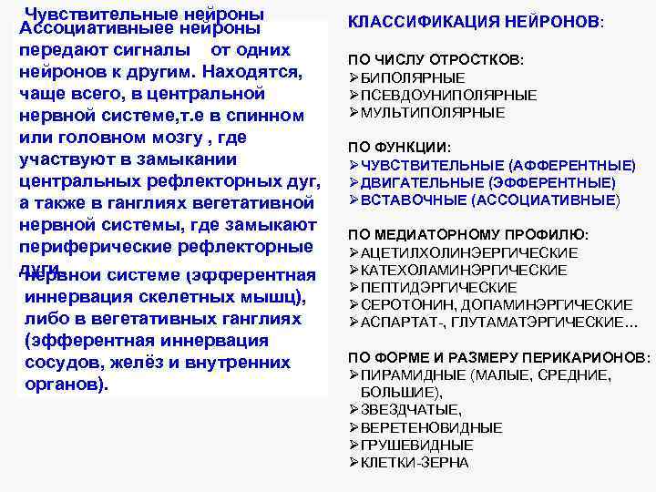 Чувствительные нейроны Ассоциативныее нейроны воспринимают сигналы от передают сигналы от одних периферических рецепторов. нейронов