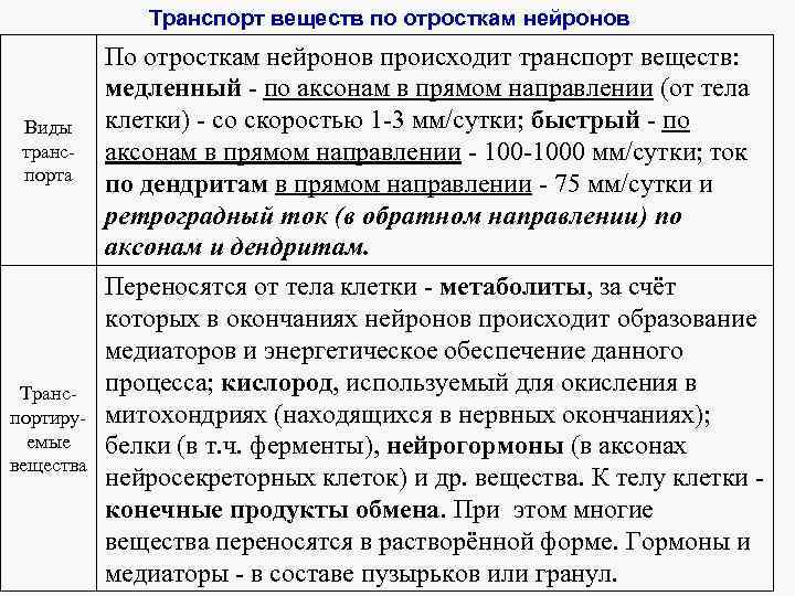 Транспорт веществ по отросткам нейронов Виды транспорта Транспортируемые вещества По отросткам нейронов происходит транспорт