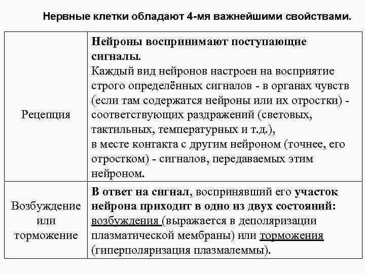 Нервные клетки обладают 4 -мя важнейшими свойствами. Рецепция Нейроны воспринимают поступающие сигналы. Каждый вид