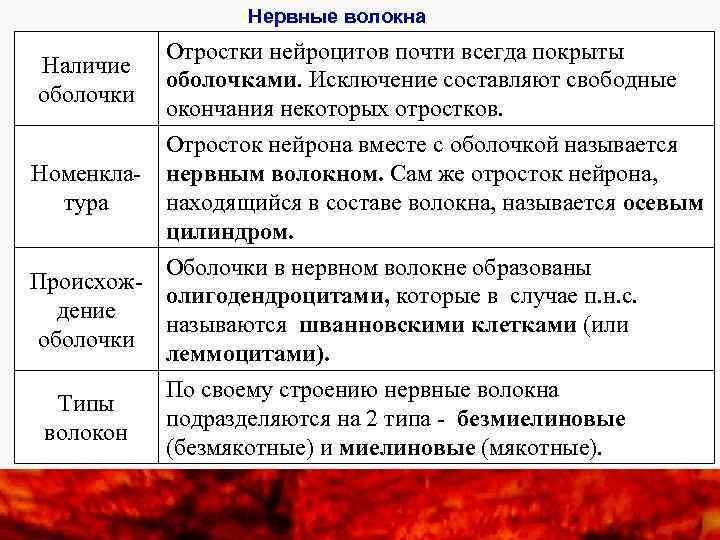 Нервные волокна Наличие оболочки Номенклатура Отростки нейроцитов почти всегда покрыты оболочками. Исключение составляют свободные