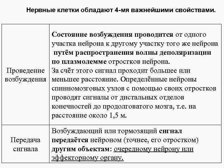 Нервные клетки обладают 4 -мя важнейшими свойствами. Состояние возбуждения проводится от одного участка нейрона