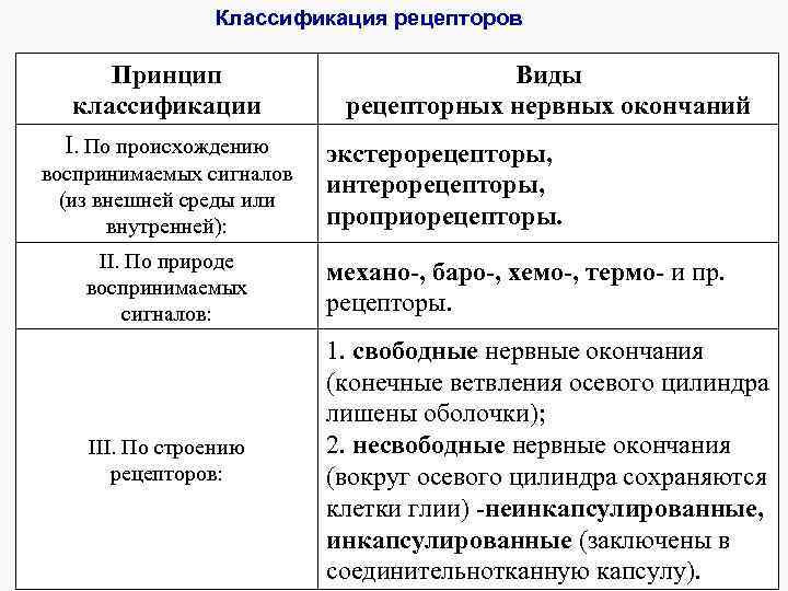 Классификация рецепторов Принцип классификации I. По происхождению воспринимаемых сигналов (из внешней среды или внутренней):