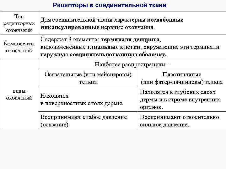 Рецепторы в соединительной ткани Тип Для соединительной ткани характерны несвободные рецепторных инкапсулированные нервные окончания.