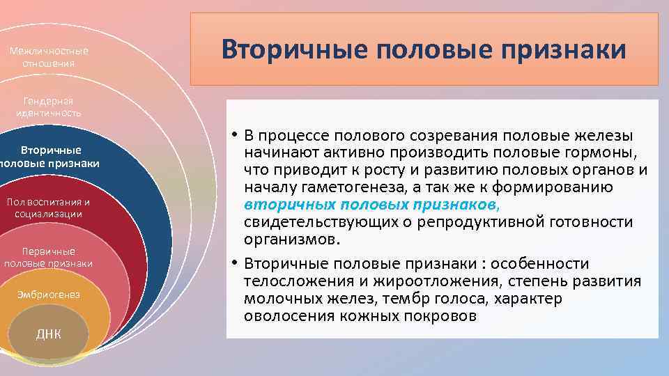 Межличностные отношения Вторичные половые признаки Гендерная идентичность Вторичные половые признаки Пол воспитания и социализации