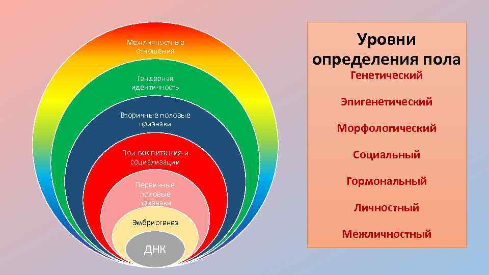 Межличностные отношения Гендерная идентичность Уровни определения пола Генетический Эпигенетический Вторичные половые признаки Пол воспитания