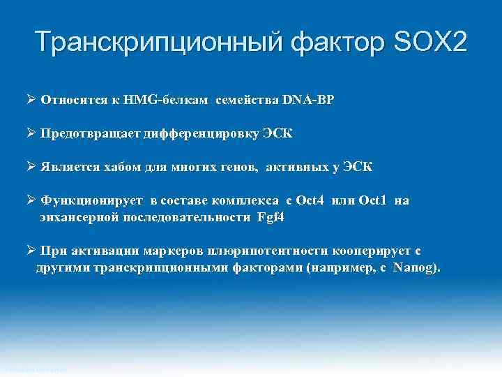 Транскрипционный фактор SOX 2 Ø Относится к HMG-белкам семейства DNA-BP Ø Предотвращает дифференцировку ЭСК