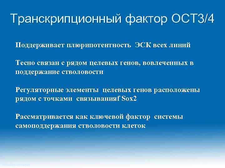 Транскрипционный фактор OCT 3/4 Поддерживает плюрипотентность ЭСК всех линий Тесно связан с рядом целевых