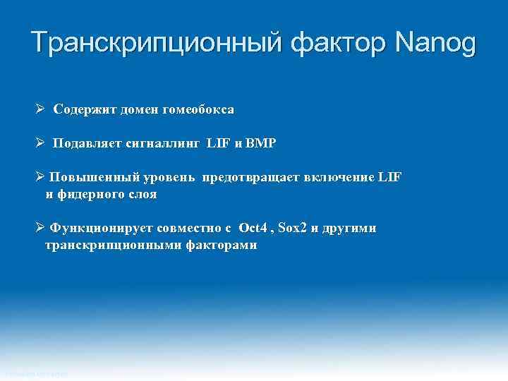 Транскрипционный фактор Nanog Ø Содержит домен гомеобокса Ø Подавляет сигналлинг LIF и BMP Ø