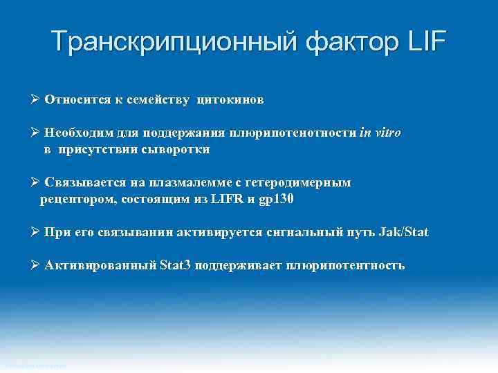 Транскрипционный фактор LIF Ø Относится к семейству цитокинов Ø Необходим для поддержания плюрипотенотности in