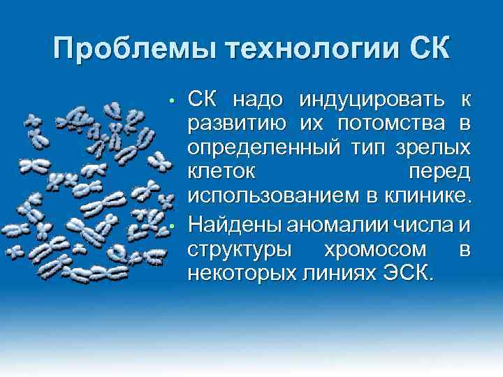 Проблемы технологии СК СК надо индуцировать к развитию их потомства в определенный тип зрелых