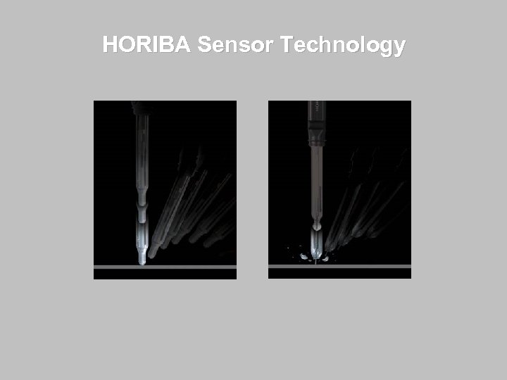 HORIBA Sensor Technology 