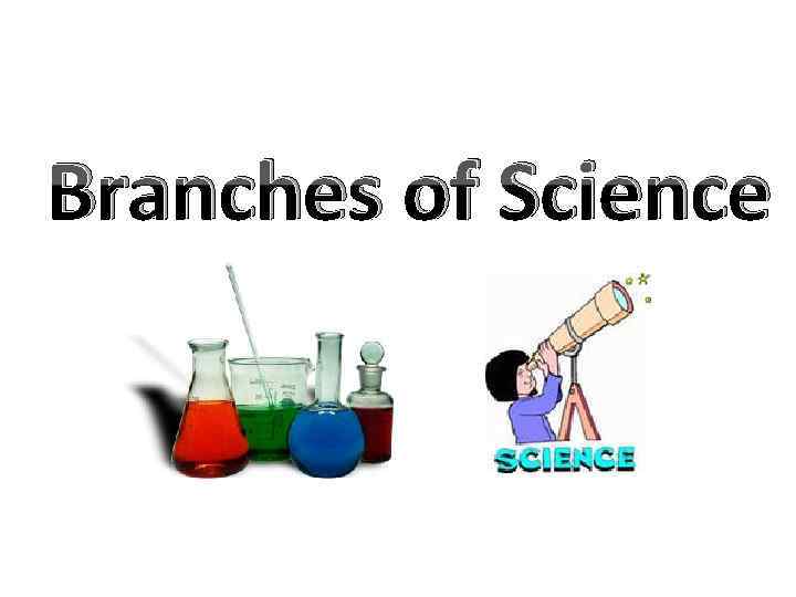 Branches of Science 