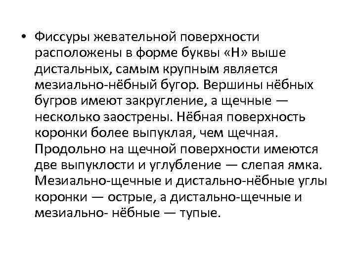  • Фиссуры жевательной поверхности расположены в форме буквы «Н» выше дистальных, самым крупным