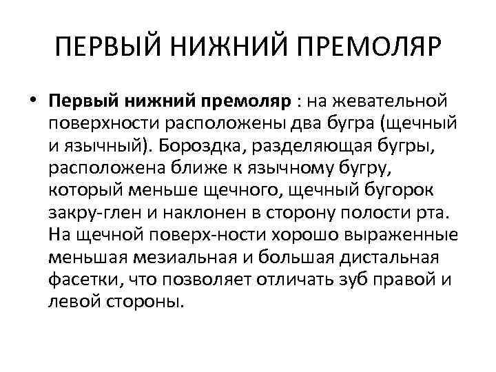 ПЕРВЫЙ НИЖНИЙ ПРЕМОЛЯР • Первый нижний премоляр : на жевательной поверхности расположены два бугра
