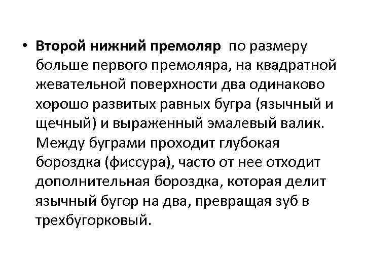  • Второй нижний премоляр по размеру больше первого премоляра, на квадратной жевательной поверхности