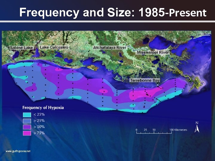 Frequency and Size: 1985 -Present www. gulfhypoxia. net 