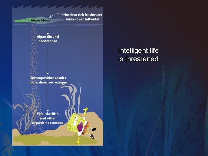 Intelligent life is threatened 