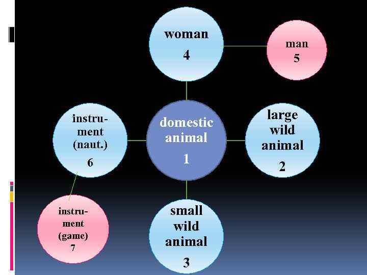 woman 4 instrument (naut. ) 6 instrument (game) 7 domestic animal 1 small wild