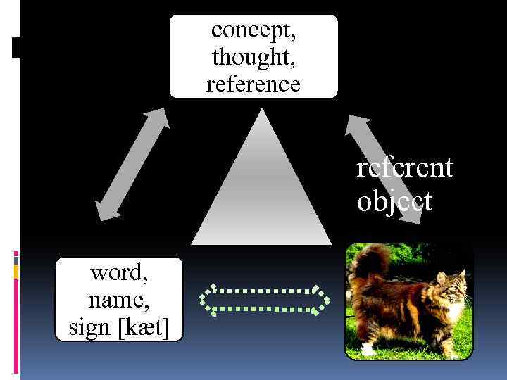 concept, thought, reference referent, object word, name, sign [kæt] 