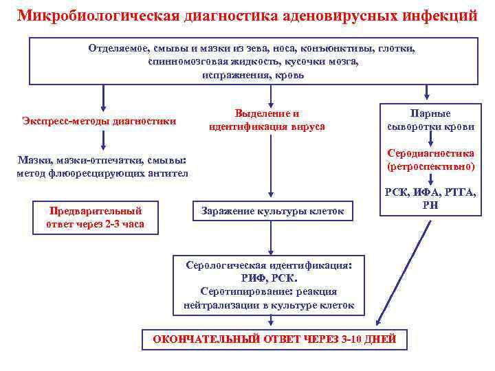 Микробиологическая диагностика аденовирусных инфекций Отделяемое, смывы и мазки из зева, носа, конъюнктивы, глотки, спинномозговая