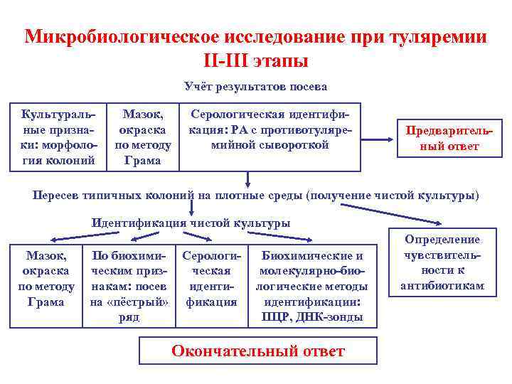 План обследования при туляремии