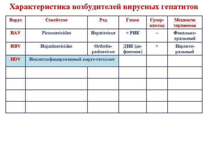 Характеристика возбудителей вирусных гепатитов Вирус Семейство Род Геном Суперкапсид Механизм заражения HAV Picornaviridae Hepatovirus