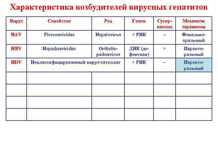 Характеристика возбудителей вирусных гепатитов Вирус Семейство Род Геном Суперкапсид Механизм заражения HAV Picornaviridae Hepatovirus