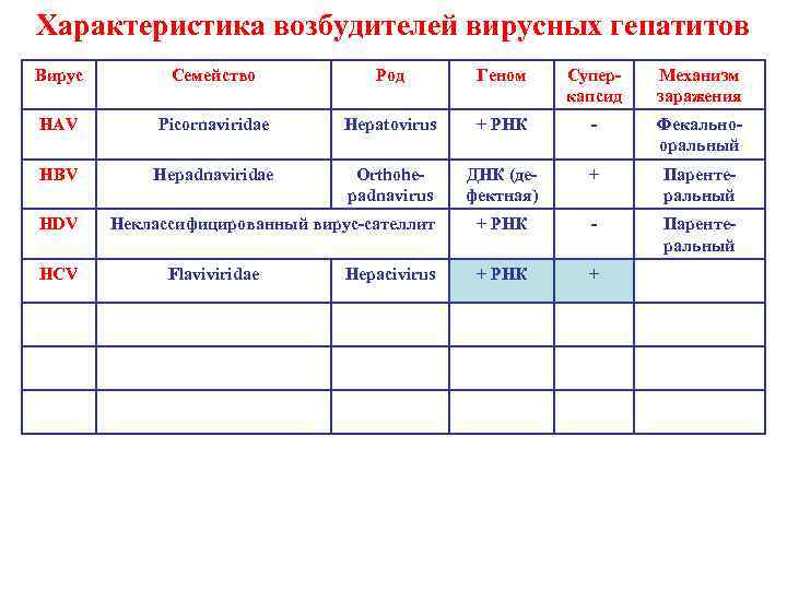 Характеристика возбудителей вирусных гепатитов Вирус Семейство Род Геном Суперкапсид Механизм заражения HAV Picornaviridae Hepatovirus