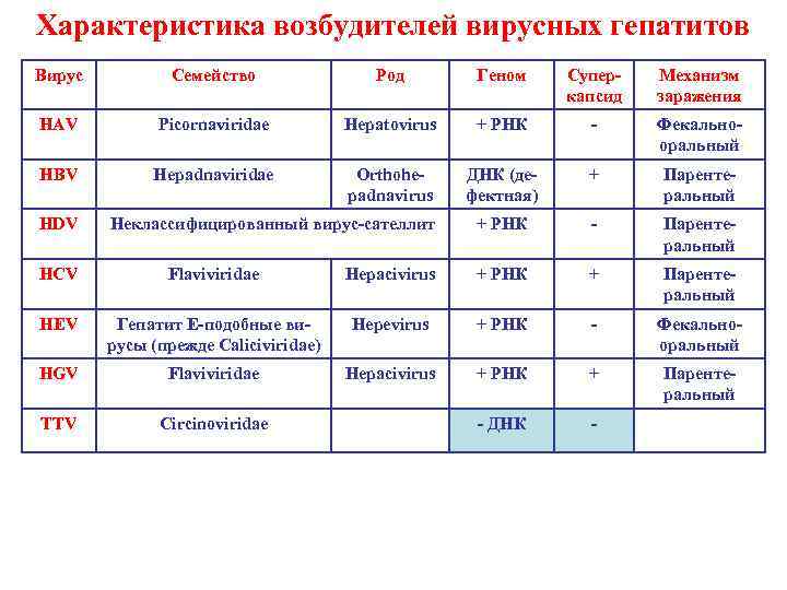 Характеристика возбудителей вирусных гепатитов Вирус Семейство Род Геном Суперкапсид Механизм заражения HAV Picornaviridae Hepatovirus