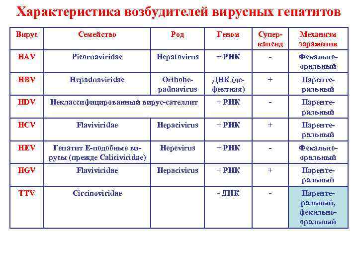 Характеристика возбудителей вирусных гепатитов Вирус Семейство Род Геном Суперкапсид Механизм заражения HAV Picornaviridae Hepatovirus