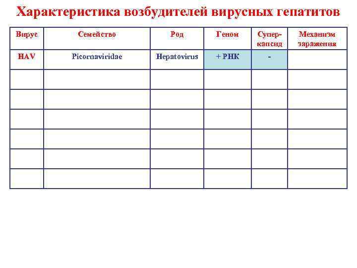 Характеристика возбудителей вирусных гепатитов Вирус Семейство Род Геном Суперкапсид HAV Picornaviridae Hepatovirus + РНК