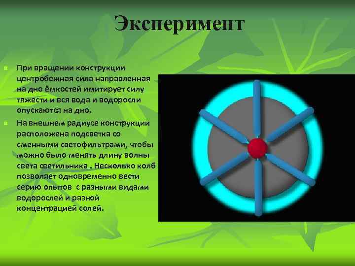 Эксперимент n n При вращении конструкции центробежная сила направленная на дно ёмкостей имитирует силу