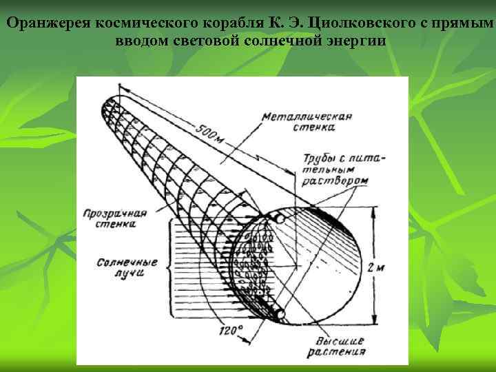 Оранжерея космического корабля К. Э. Циолковского с прямым вводом световой солнечной энергии 