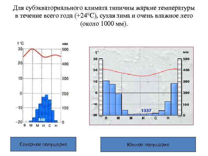 Для субэкваториального климата типичны жаркие температуры в течение всего года (+24°С), сухая зима и