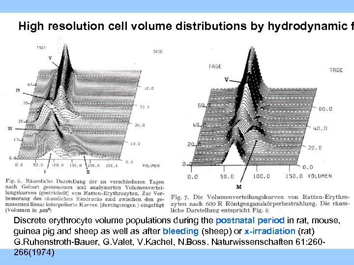 High resolution cell volume distributions by hydrodynamic f Discrete erythrocyte volume populations during the