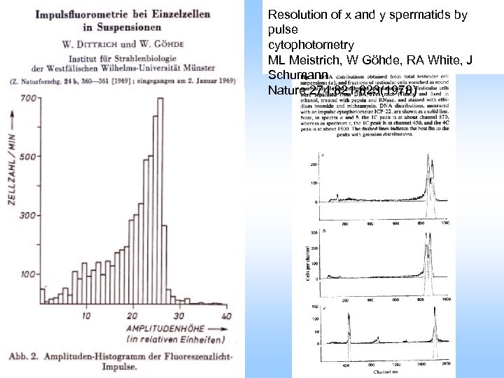 Resolution of x and y spermatids by pulse cytophotometry ML Meistrich, W Göhde, RA