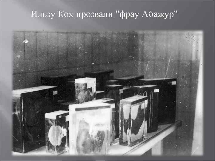 Ильзу Кох прозвали "фрау Абажур" 