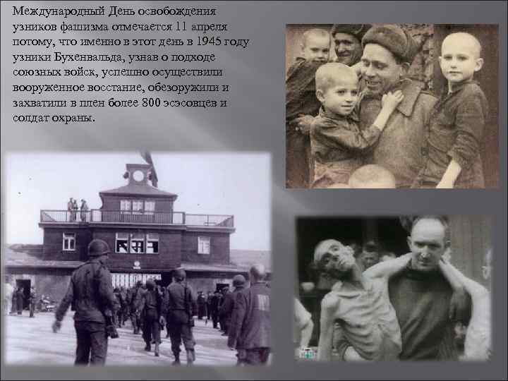 Международный День освобождения узников фашизма отмечается 11 апреля потому, что именно в этот день