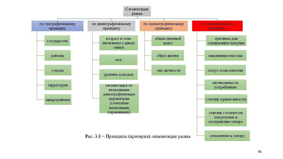 Сегментация рынка по географическому принципу государства районы города территории микрорайоны по демографическому принципу возраст