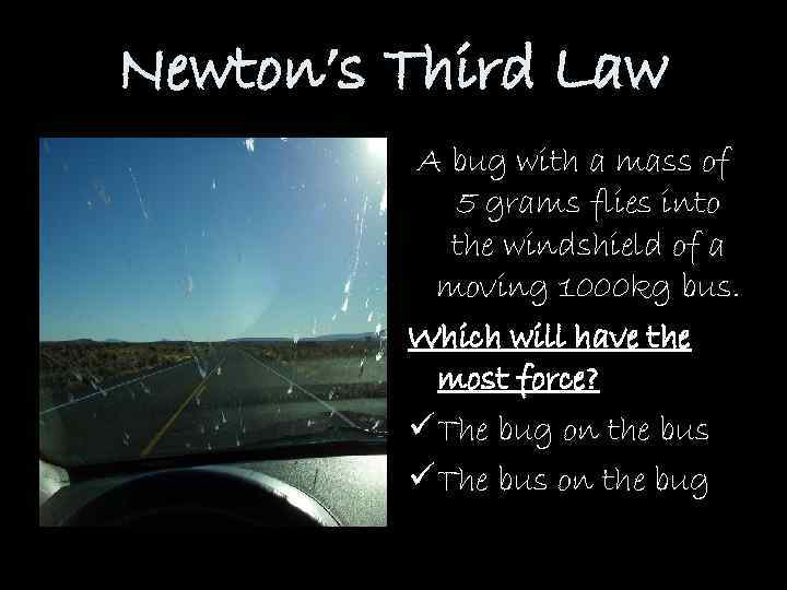 Newton’s Third Law A bug with a mass of 5 grams flies into the