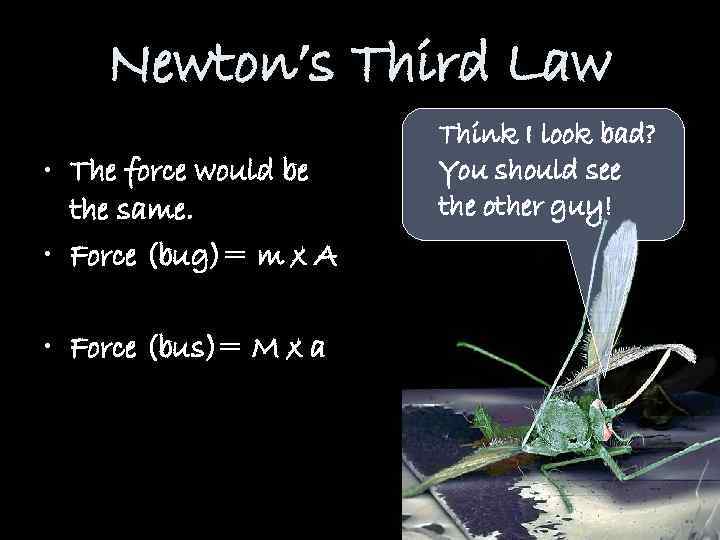 Newton’s Third Law • The force would be the same. • Force (bug)= m
