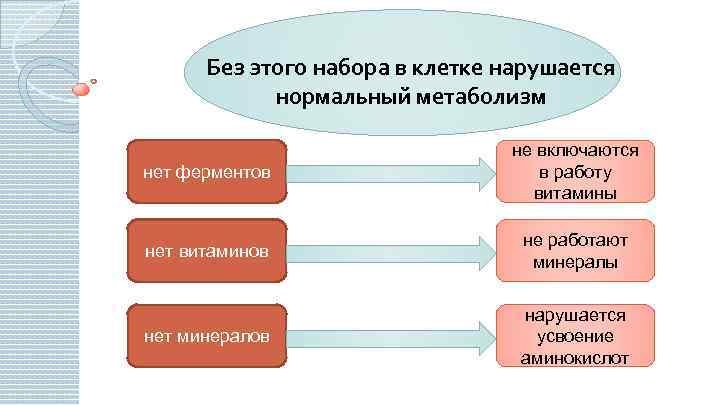 Без этого набора в клетке нарушается нормальный метаболизм нет ферментов не включаются в работу