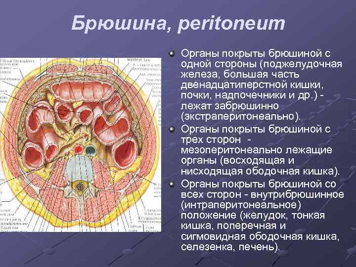 Нмо оболочка