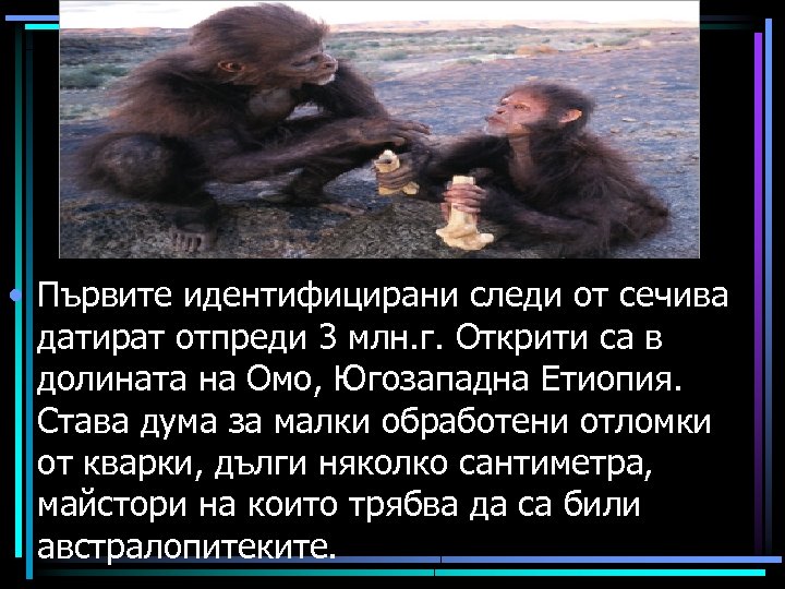  • Първите идентифицирани следи от сечива датират отпреди 3 млн. г. Открити са