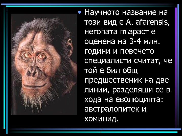  • Научното название на този вид е A. afarensis, неговата възраст е оценена
