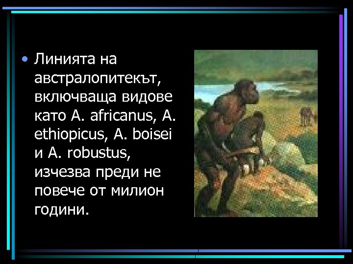  • Линията на австралопитекът, включваща видове като A. africanus, A. ethiopicus, A. boisei