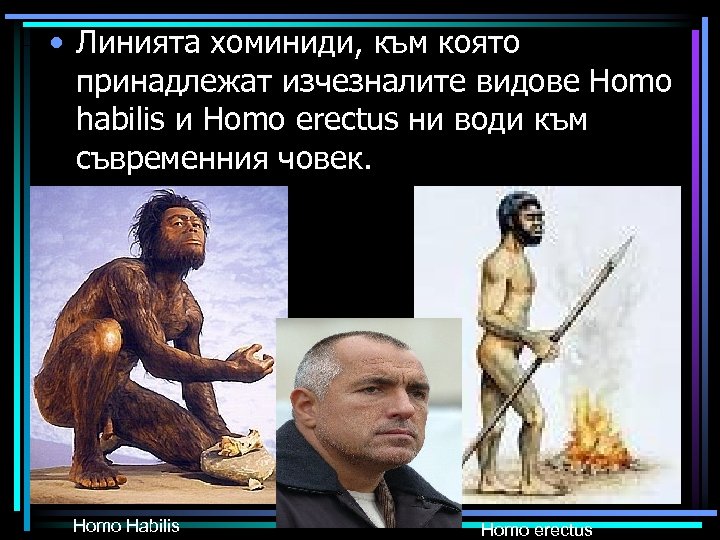  • Линията хоминиди, към която принадлежат изчезналите видове Homo habilis и Homo erectus