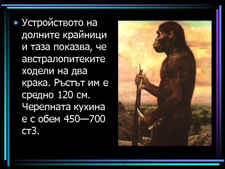  • Устройството на долните крайници и таза показва, че австралопитеките ходели на два